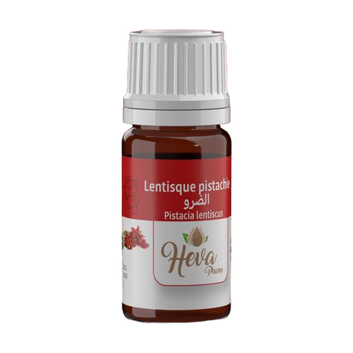 HEVA Huile Essentielle Lentisque Pistachier 5 ml — vue 2