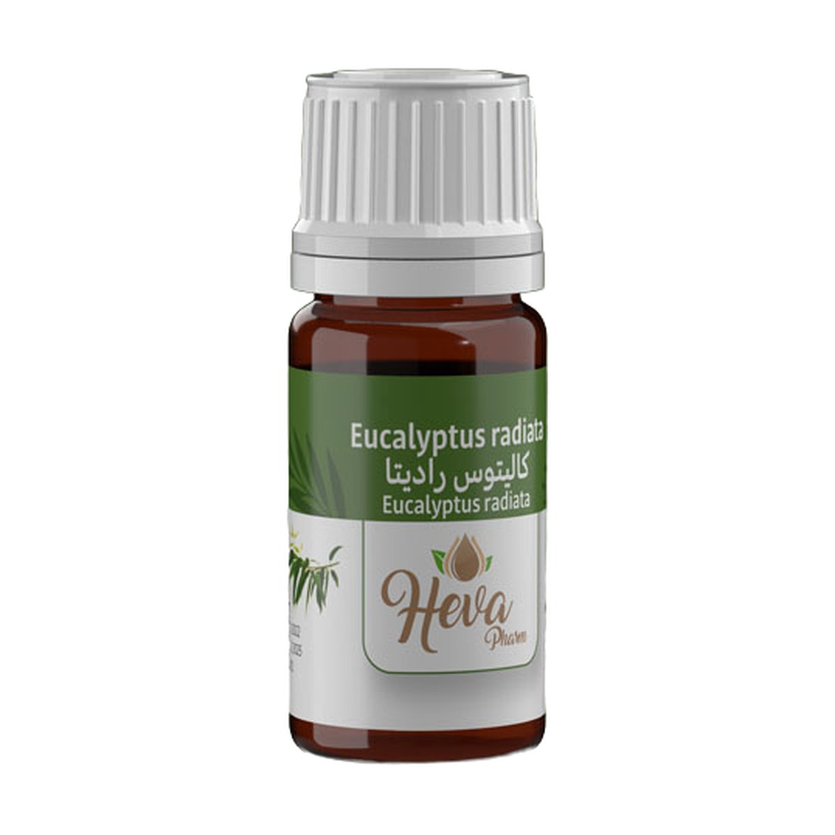 HEVA Huile Essentielle Eucalyptus Radié (Radiata) 5 ml — vue 2